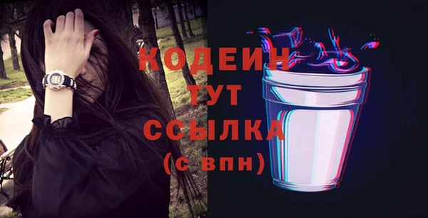 индика Нязепетровск