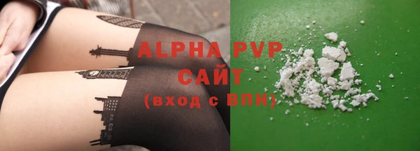 СК Алексин