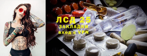 PSILOCYBIN Алзамай