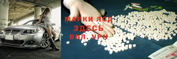 СК Алексин