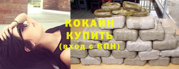 индика Нязепетровск