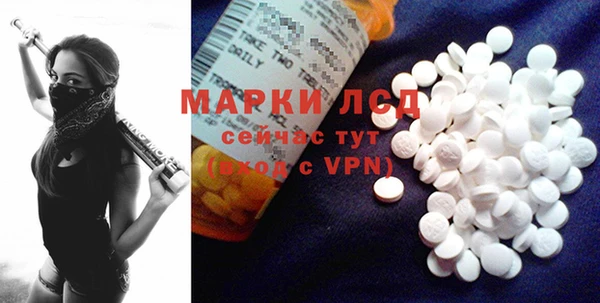 PSILOCYBIN Алзамай