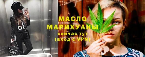 индика Нязепетровск