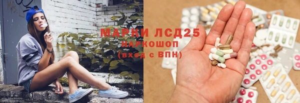 PSILOCYBIN Алзамай