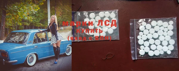 индика Нязепетровск