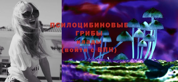 СК Алексин