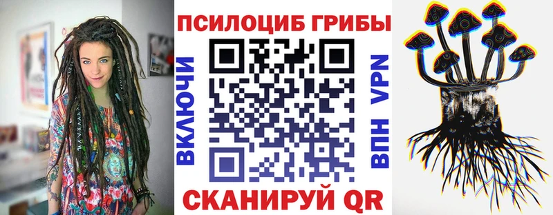 KRAKEN вход  Буй  Галлюциногенные грибы ЛСД 
